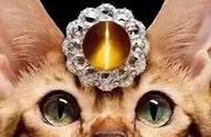 揭秘「猫眼效应」珠宝的独特魅力