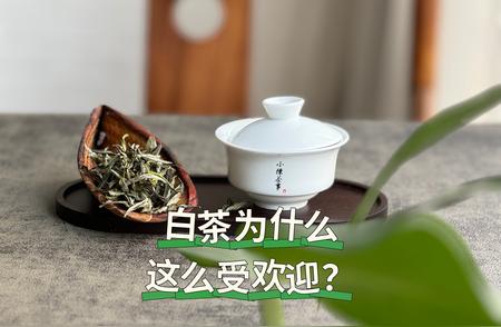 白茶独特之处：为何备受推崇？