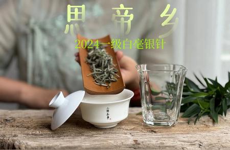 入秋品茗：如何优雅地邀请客人共饮一壶好茶？