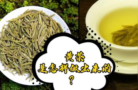 黄茶背后的秘密：探寻蒙顶黄芽的精湛制作过程