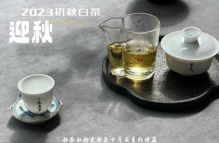 紫砂壶泡老白茶：秘诀与技巧揭秘