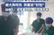 阿拉斯加犬咬伤10岁男孩：涉事狗被击毙，家属发起筹款