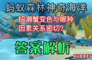 招潮蟹变色与哪些因素密切相关？蚂蚁森林的神秘海洋揭秘