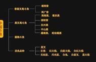 斗鱼繁殖秘籍：一篇文章让你成为专家！