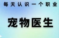 每日职业探索：深入了解宠物医生