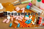 宠物不适急需药物？这20种药品或许能帮到你