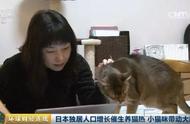 日本宠物猫市场火爆，喵星人经济达1380亿！