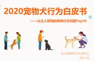 《2020年度宠物犬行为白皮书》深度解析：狗狗坏习惯背后的秘密