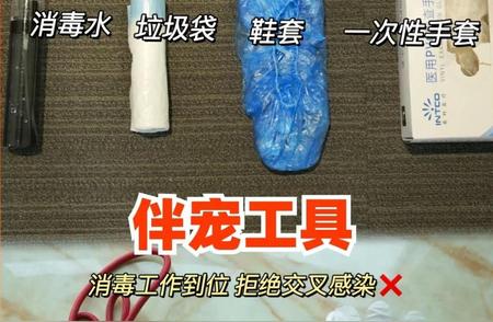 春节期间，宠物上门喂养服务需求激增