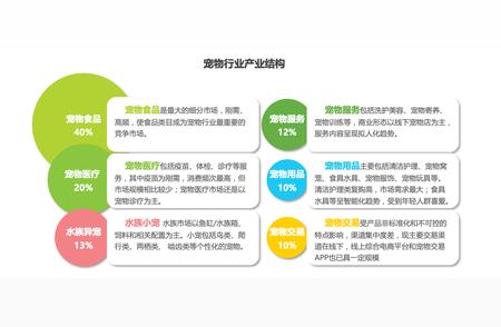 「小壳Cature」再获融资，海外扩张与研发持续加码