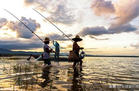 夏日垂钓秘籍：掌握最佳时机，轻松收获大鱼！