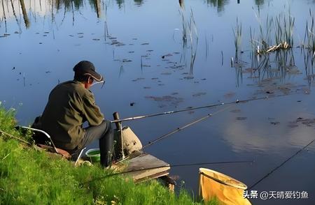 夏季钓鱼不出空军的秘诀：一日三迁心得分享