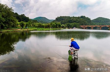 水库钓鲫鱼的秘密：新手也能变高手的全攻略！