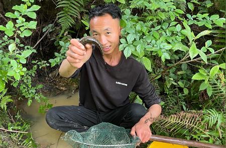 神秘蛇鱼现身！小溪捕获两条罕见鱼种，放生过程竟有意外惊喜！