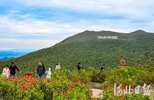 崇礼秋色：一场秋日打卡之旅