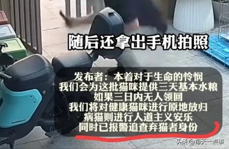 男子神秘行为：面罩下遗弃病猫，宠物医院将做出决定!