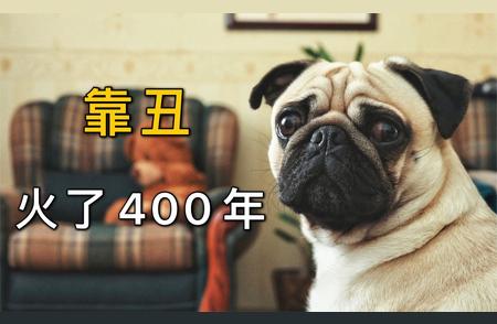 西方人眼中的巴哥犬：宠物界的孙悟空