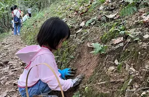 杭州山林秋日秘境：浪漫与治愈并存的惊喜之旅