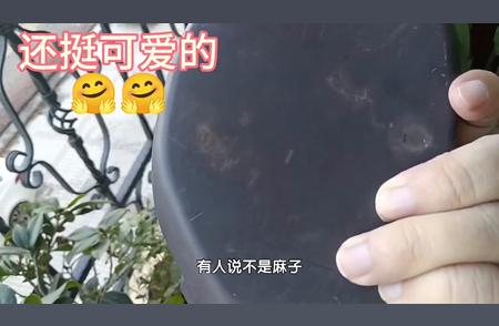 砚台篇：端砚麻子与易砚氟石，哪一方更胜一筹？