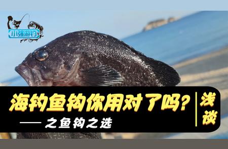 海钓鱼钩选择指南：如何挑选最适合你的钓具？