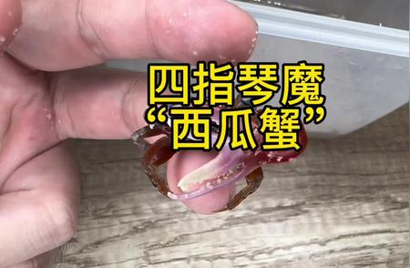 神奇动物大解密：揭秘抖音里的神秘世界！