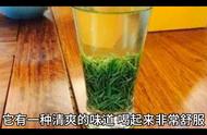 信阳毛尖绿茶荣获十大名茶之一，品质和口碑得到了高度评价