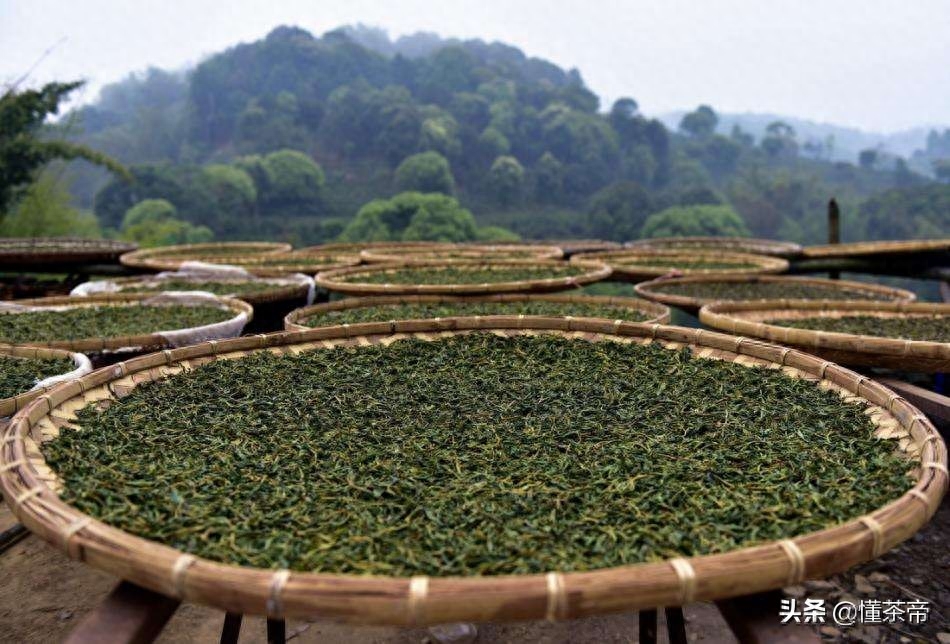 这21款曾经失传的茶，喝过7种以上算你厉害！