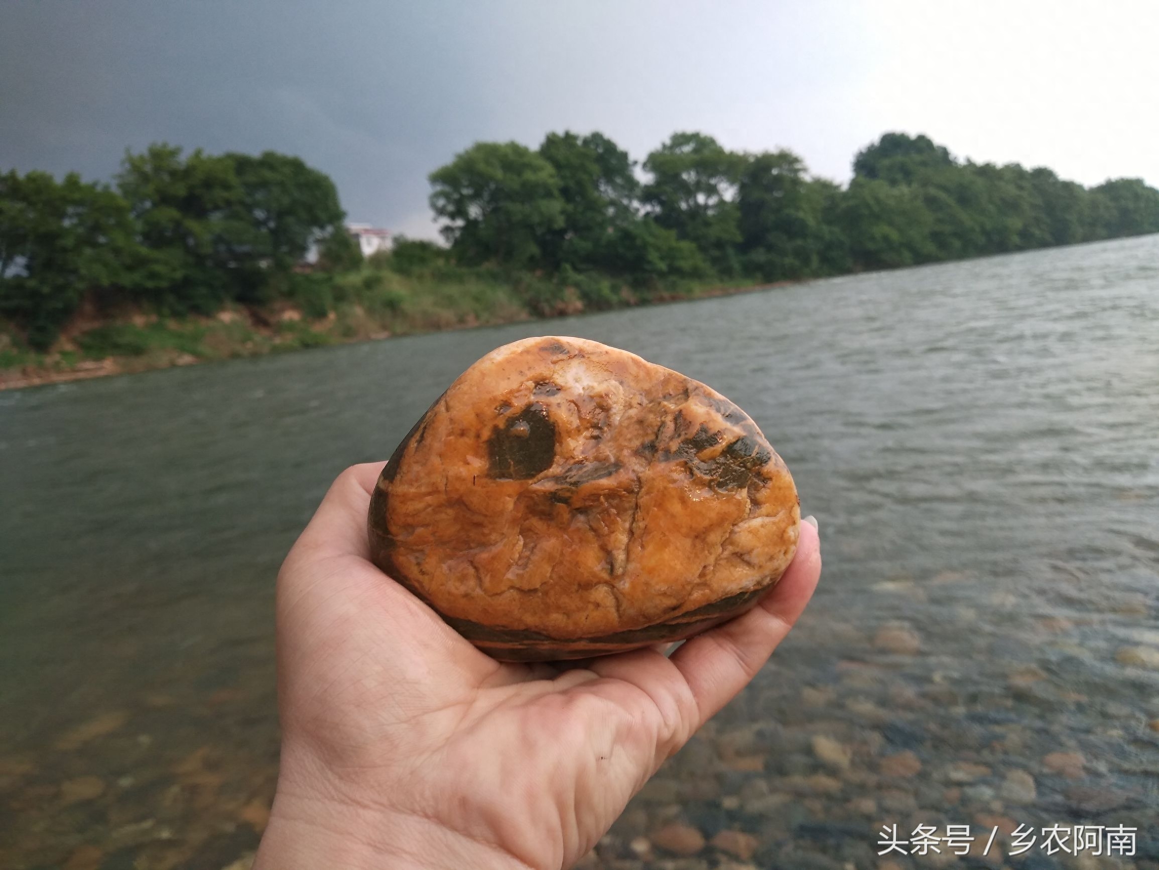 去茶陵的洣江河里游泳，没想到河里有很多奇石，随手捡了几个，你看有黄蜡石，金纹石，乌金石，还满好看的