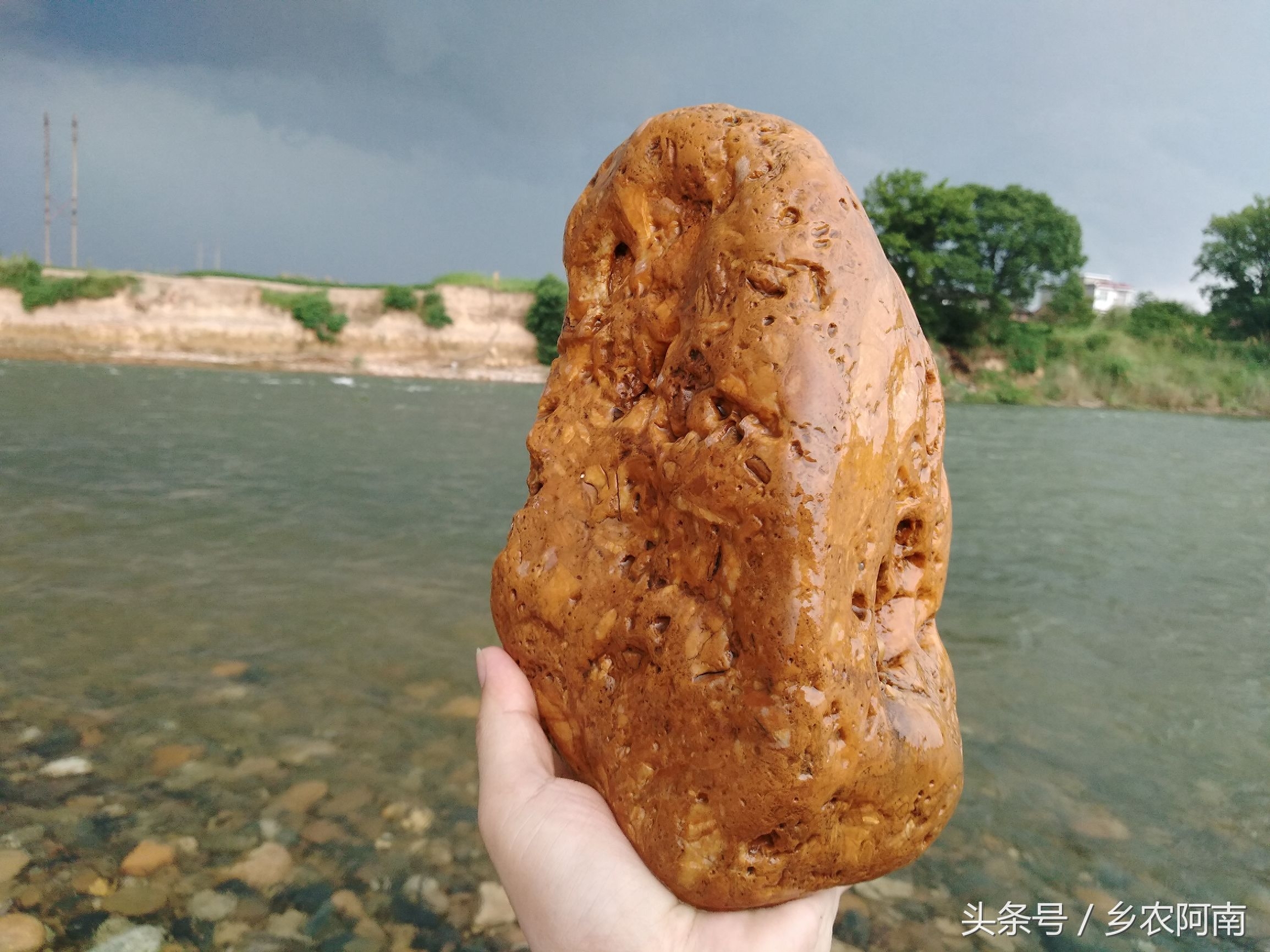 去茶陵的洣江河里游泳，没想到河里有很多奇石，随手捡了几个，你看有黄蜡石，金纹石，乌金石，还满好看的